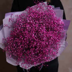 Букет из 11 розовых гипсофил
